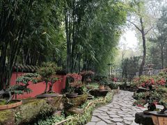 -成都武侯祠博物馆