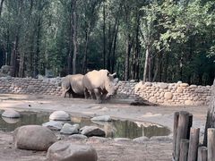 -北京野生动物园