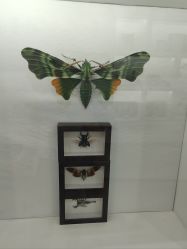 -酷嗒动物文化乐园(cutezoo西溪乐天城店)