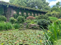-中国茶叶博物馆(双峰馆区)