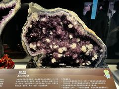-正佳自然科学博物馆
