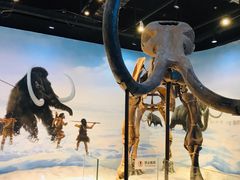 -辽宁古生物博物馆
