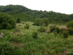 -白草畔自然风景区