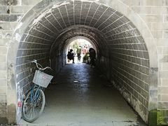 -盆景园(扬州大运河文化旅游度假区)