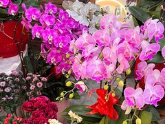 -花屿鲜花(淡水店)