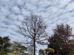 -中国移动南方基地