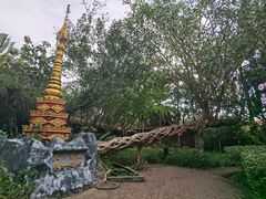 -瑞丽独树成林风景区