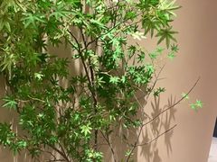 -乡里八闽·福州乡土菜(高宅店)