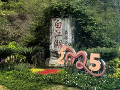 -广州白江湖森林公园