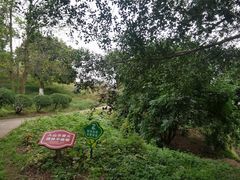 -张坝桂圆林公园