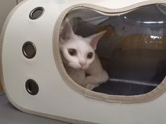-美联众合动物医院·24h转诊中心
