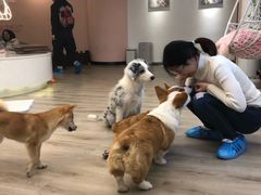 -浣熊柯尔鸭土拨鼠·电玩咖