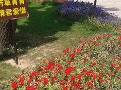 -天鹅湖生态旅游风景区