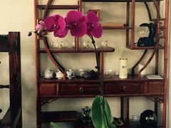 iphone_upload_pic-茯茶镇