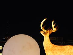 -梧桐餐厅(泉城路店)