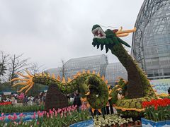 -南山植物园