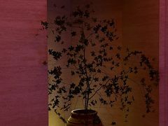 -舒小悦·舒养SPA·古法推拿(光环中心店)