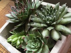 -研途咖啡馆(健康路店)