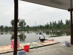 -同銮特种养殖场·龙虾垂钓