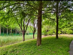 -同里国家湿地公园