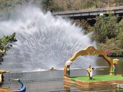 -西双版纳原始森林公园