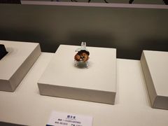 -天津自然博物馆
