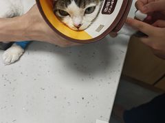 -贝利宠物医院·骨科·眼科·肿瘤转诊中心(南坪诊疗中心)