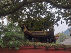 -峨眉山风景名胜区