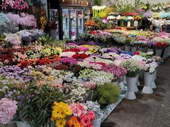 -双季花艺园艺市场(浦东店)