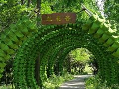 -东平国家森林公园