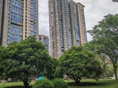 -唐城墙遗址公园