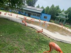 -秦皇岛野生动物园