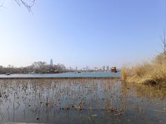 -济南大明湖景区