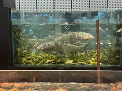 -龙宴海鲜城(经中路店)