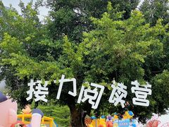 -广西壮族自治区药用植物园
