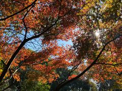 -杭州半山国家森林公园