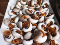 -鲁前海沿儿