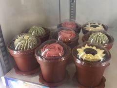 -DQ·蛋糕·冰淇淋(天通苑华联店)