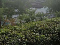 -雨花胜境