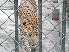 -深圳野生动物园