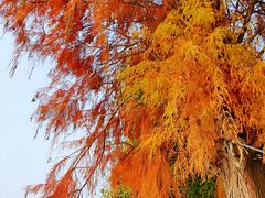 -东钱湖旅游度假区