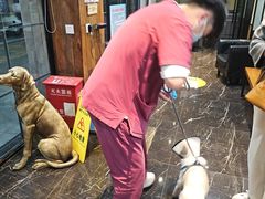 -宠颐生斯嘉宠物医院·急重症·心内科(谷阳北路分院)