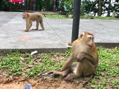 -普吉镇