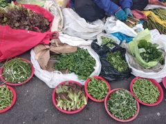 -西归浦每天偶来市场