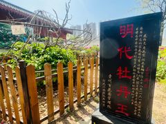 -曹州百花园