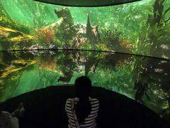 -中国湿地博物馆