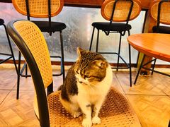 -LOOKA COFFEE(大鹏所城店)