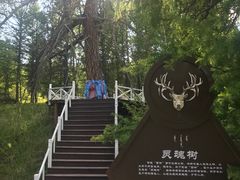 -阿尔山市大兴安岭奥伦布坎景区