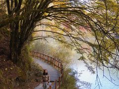 -叠溪松坪沟景区