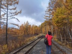 -莫尔道嘎国家森林公园